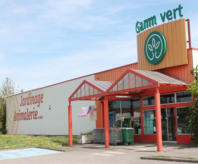 GAMM VERT — photo