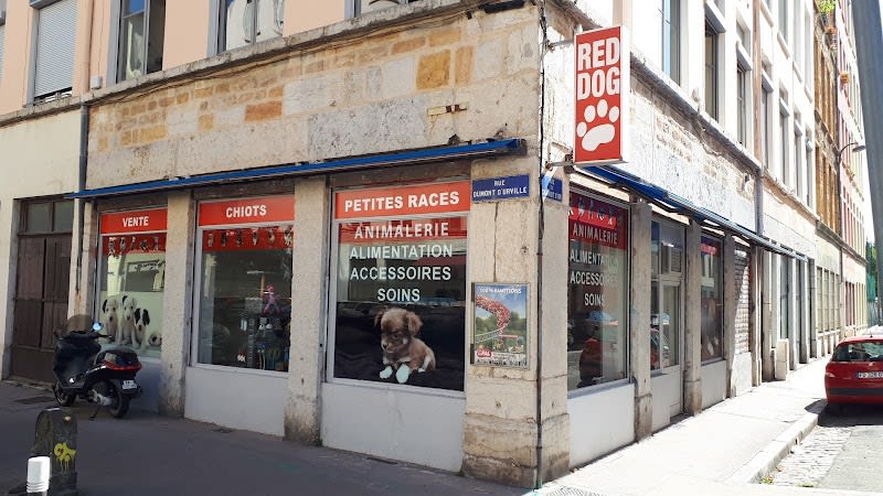 Red Dog — photo