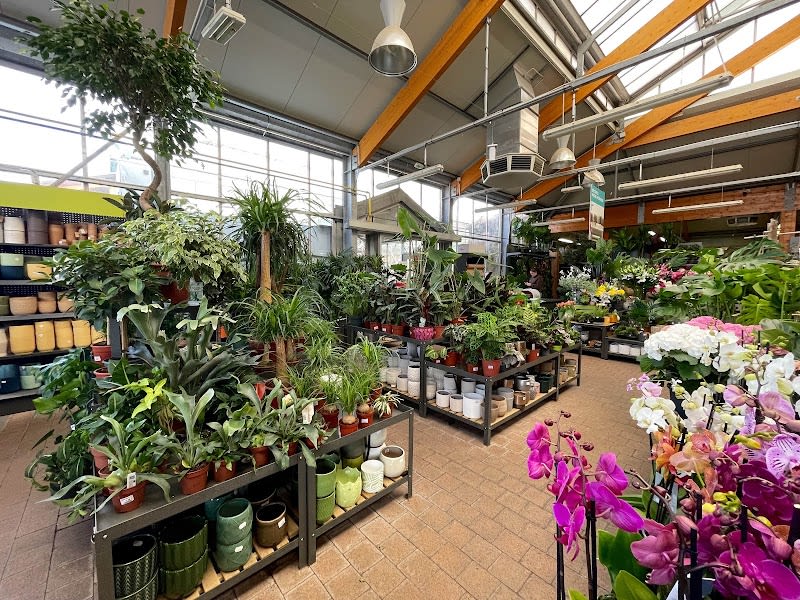 Jardinerie Delbard Ricard — photo