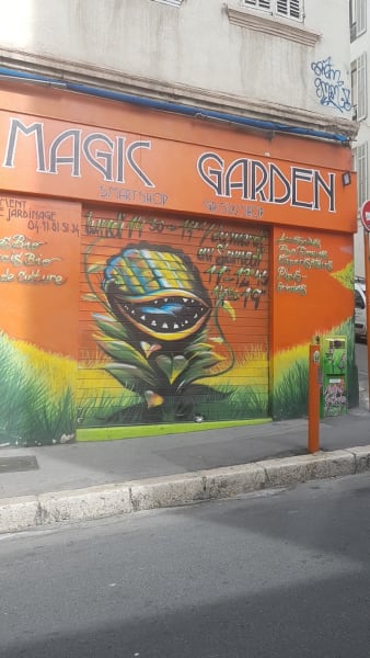 Magic Garden — photo