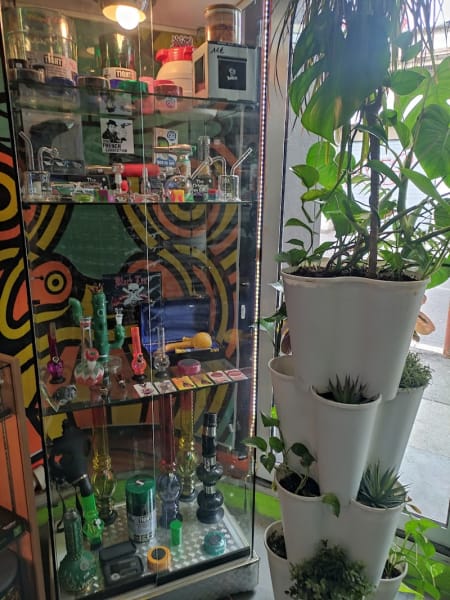 Magic Garden — photo