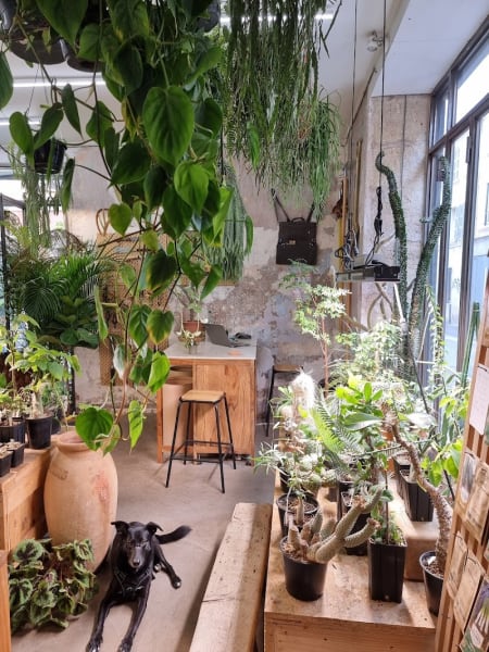 Jardinerie Akou — photo