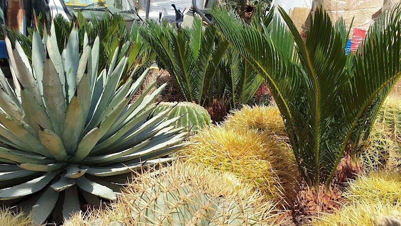 Jardinerie Roubaud — photo