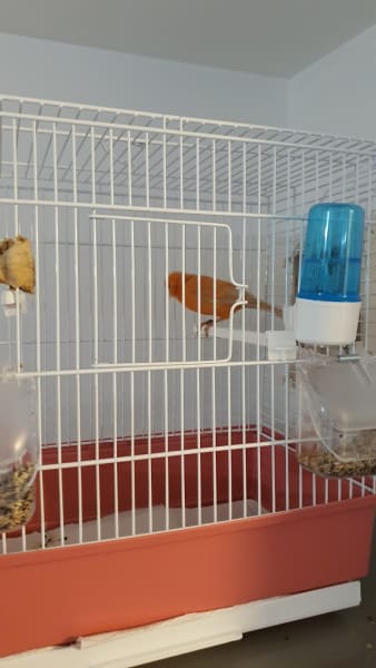 Animal And Bird — photo