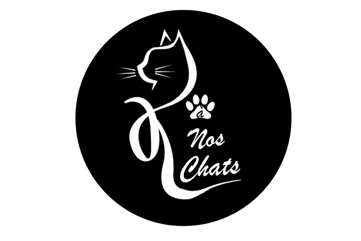 A-NOS-CHATS Article pour Chats — photo