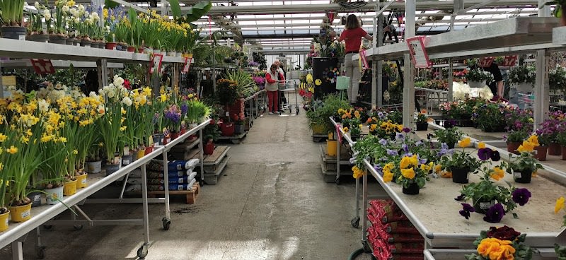 Jardinerie Toulousaine — photo