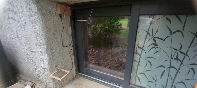 windOcat — photo