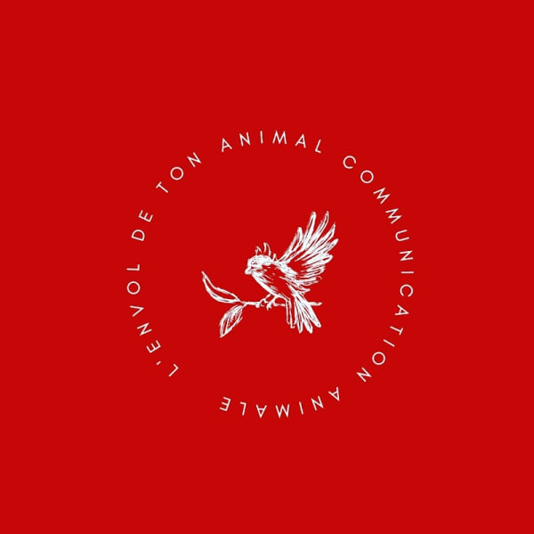 L'envol de ton animal communication animale — photo