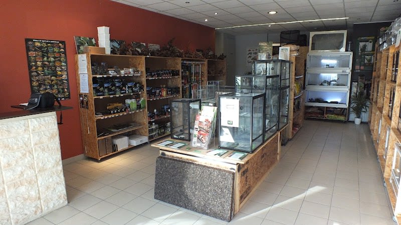 Terrario Store - Animalerie Exotique — photo