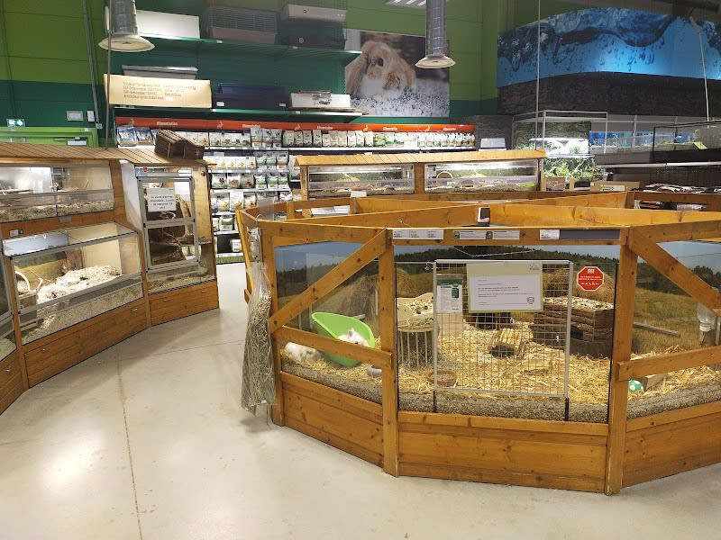 Maxi Zoo Saint-Aunès — photo