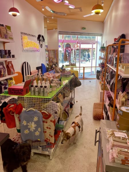Les Frimeurs - Concept store pour chiens et chats à Bordeaux. Boutique, café et dog wash. — photo