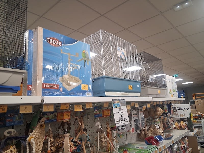 Kokoon Animal Shop Eysines — photo
