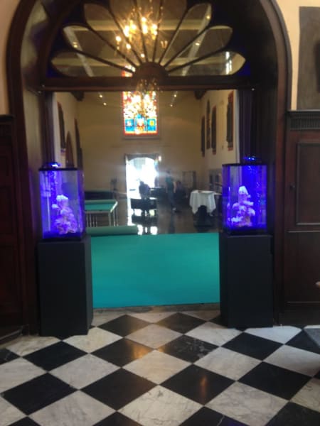 Oxyfish — photo