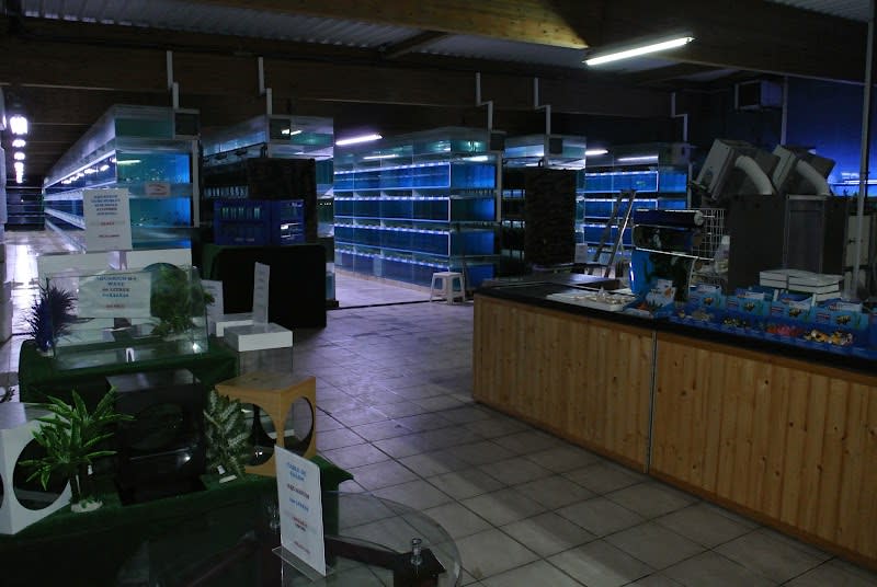 Oxyfish — photo