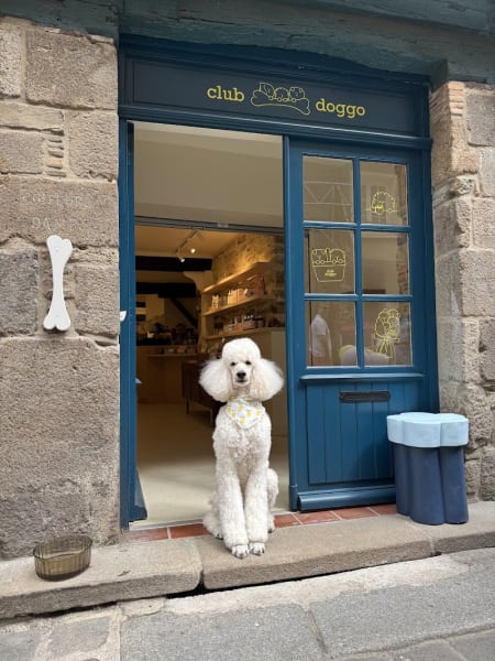 Club Doggo - Concept-store et café pour chiens à Rennes — photo