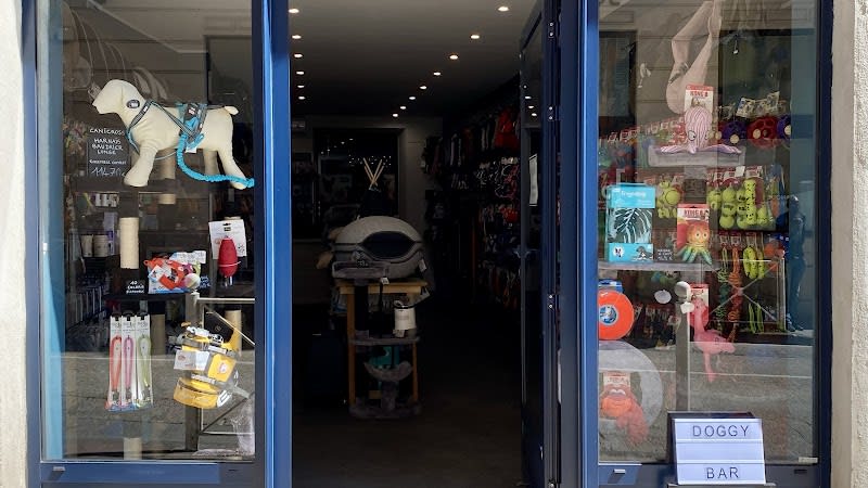 4 Pattes City Toulon — photo