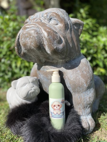 La Patte de Jade — photo