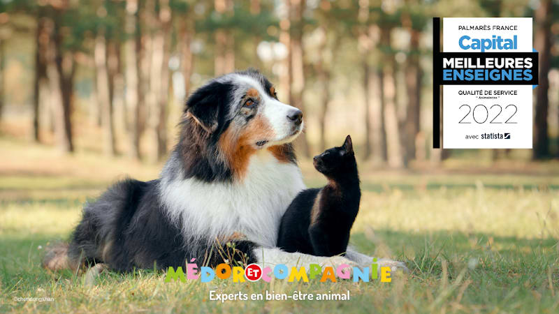 Médor et Compagnie — photo