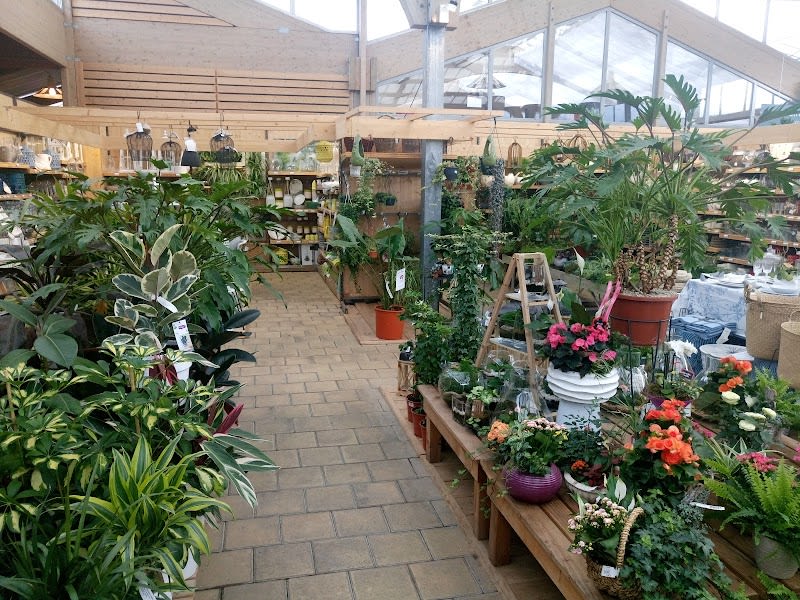 Botanic — photo