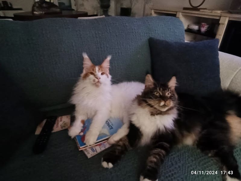 La Chatterie des Rives de l'Ouche — photo