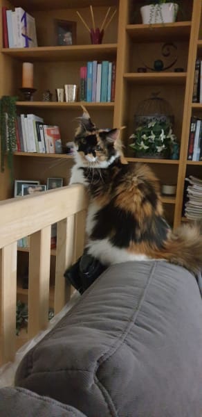 La Chatterie des Rives de l'Ouche — photo