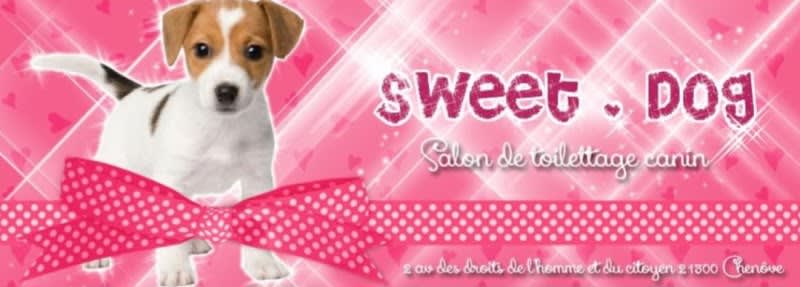 Sweet Dog — photo