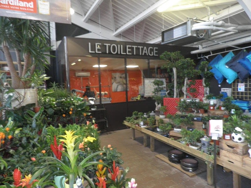 JARDILAND — photo