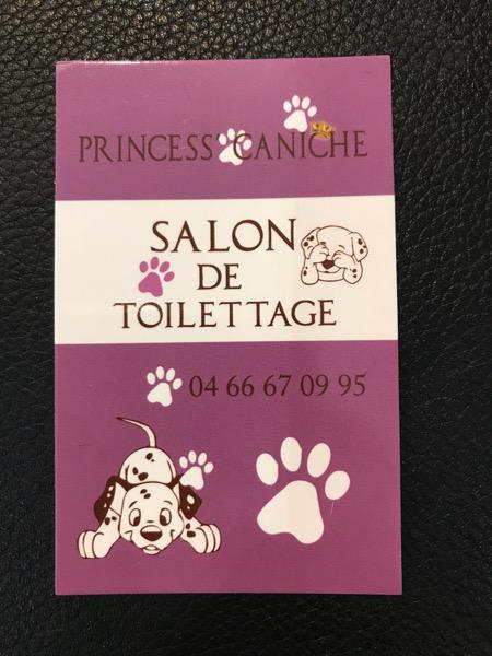 PRINCESS CANICHE — photo