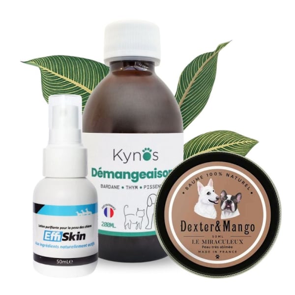 Kynos - Mon chien au Naturel — photo