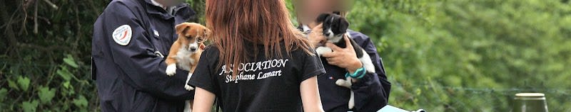 Association Stephane Lamart — photo