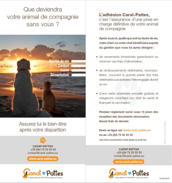 Carat Pattes — photo