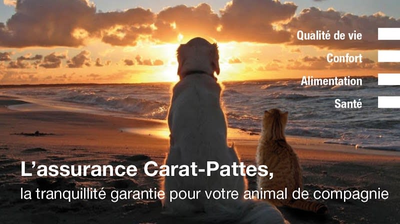 Carat Pattes — photo