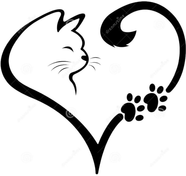 Association LES CROQUETTES DU COEUR — photo