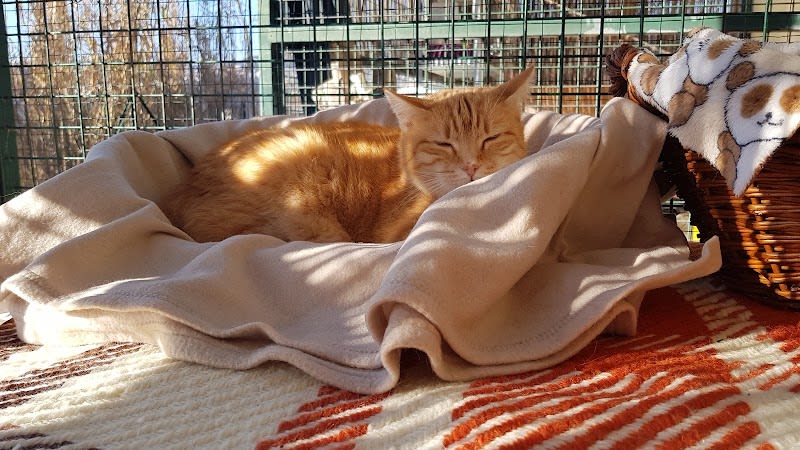 Au Service Des Animaux 06 — photo