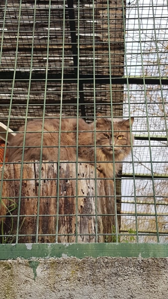 Au Service Des Animaux 06 — photo
