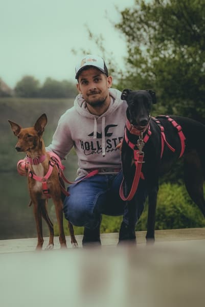 Association Solidarité Cause Animale S.C.A — photo