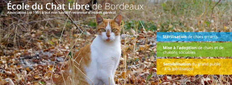 L'École du Chat Libre de Bordeaux — photo