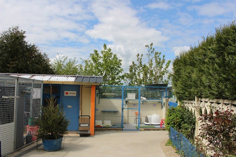 La SPA - Refuge de Vitré - Saint-Germain-du-Pinel — photo
