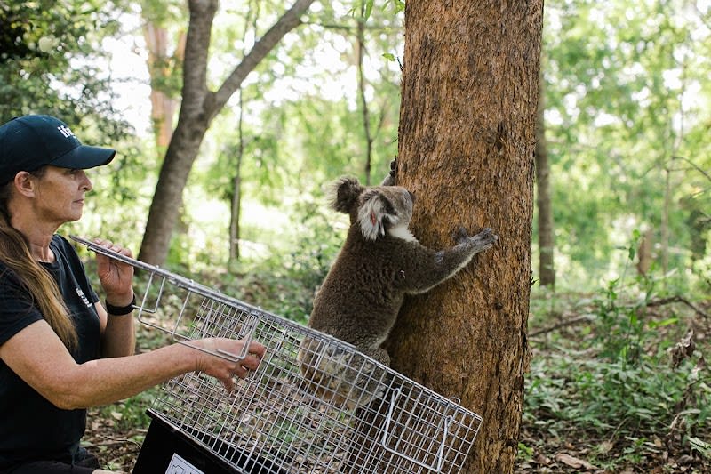 IFAW France — photo