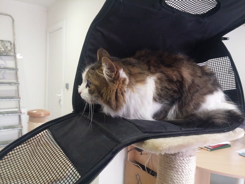 La Grange Aux Chats — photo