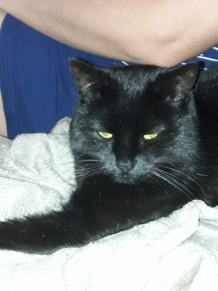La Grange Aux Chats — photo