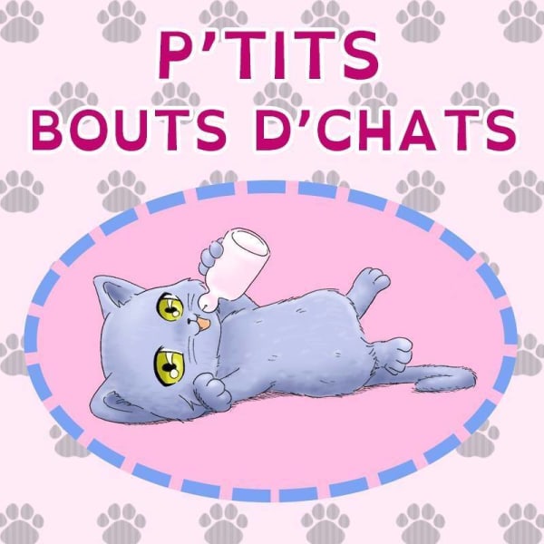 P'tits Bouts d'Chats — photo
