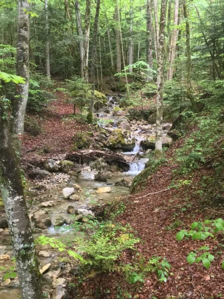 Domaine de la Cascade — photo