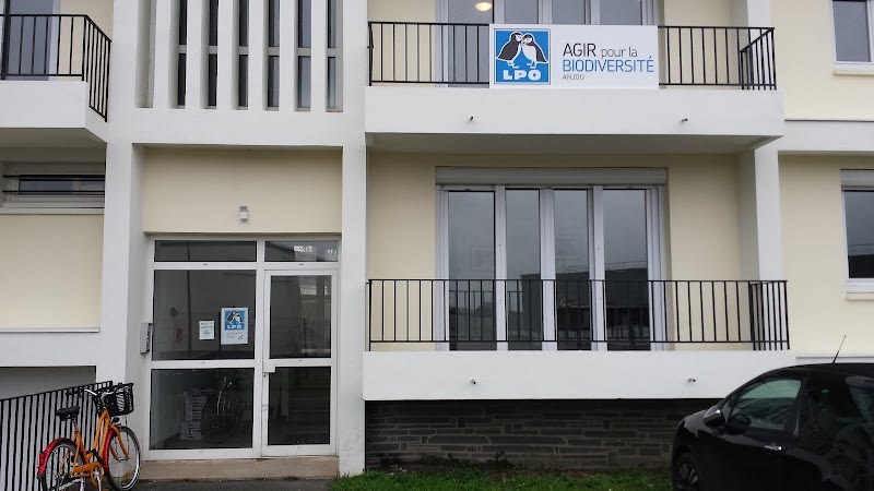 LPO Anjou (Ligue pour la protection des oiseaux Anjou) — photo
