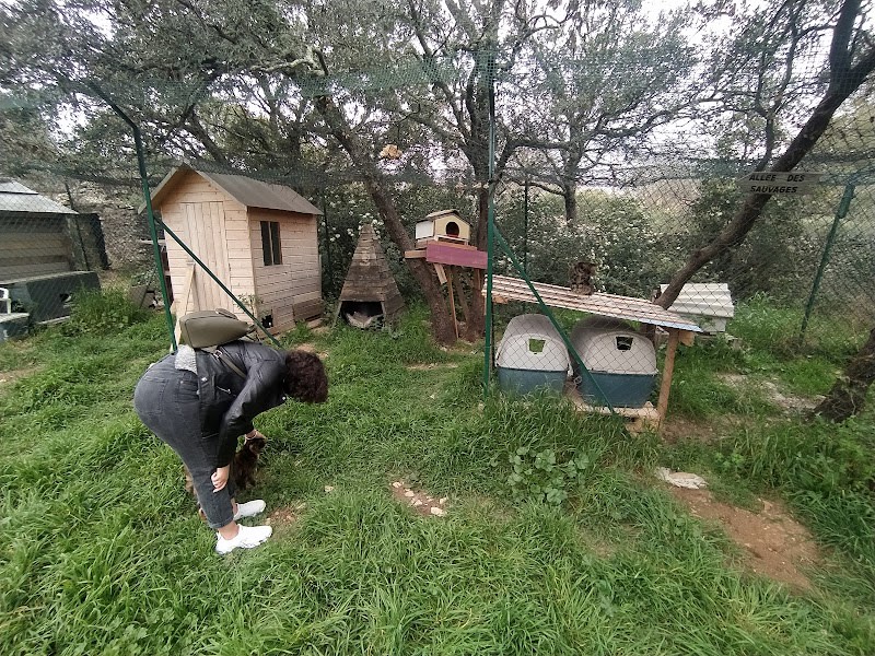 Asso Coup de Coeur Animal - Chats et Animaux de la ferme — photo