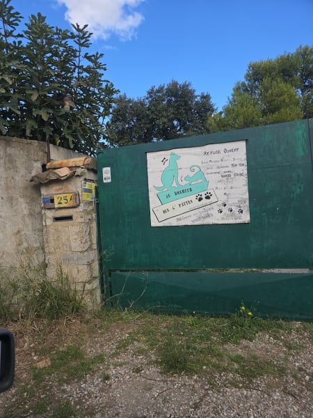 Au Bonheur des 4 Pattes — photo