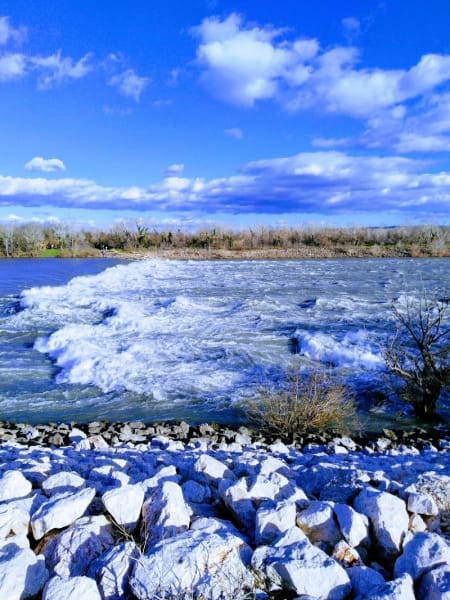 Refuge CANIN Occitanie Beaucaire — photo