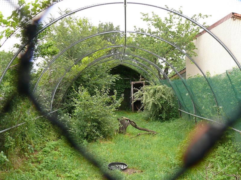 Centre de sauvegarde LPO AuRA Auvergne — photo