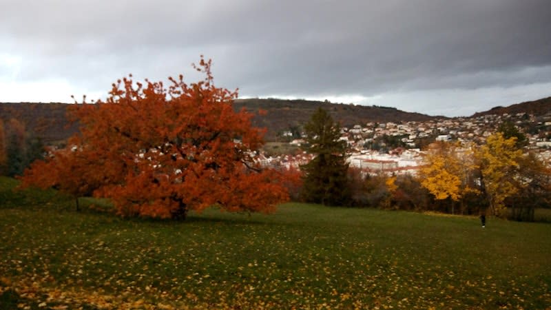 LPO AURA Auvergne — photo