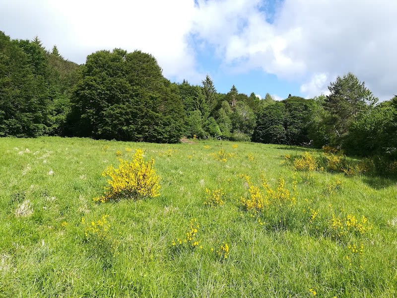 LPO AURA Auvergne — photo